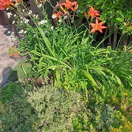 게스트하우스 Kotva 2*