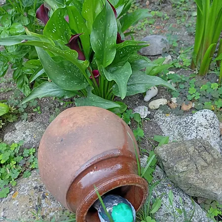 게스트하우스 Kotva 로제넷츠