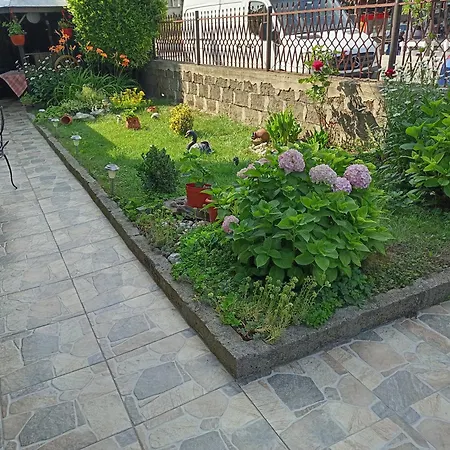 Kotva 게스트하우스 로제넷츠