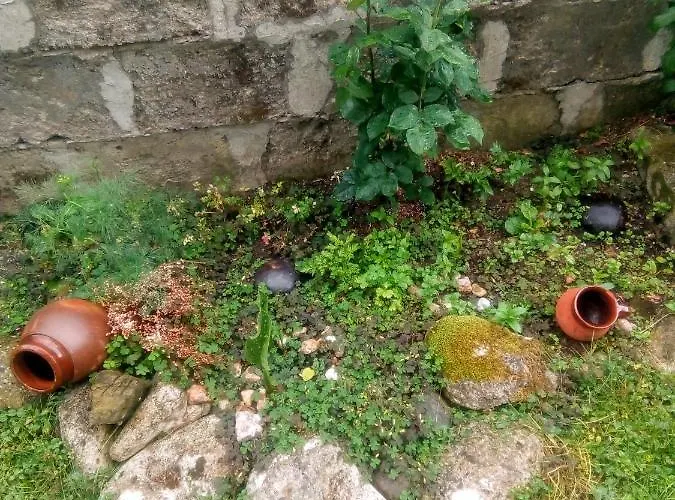 Kotva 2* 로제넷츠