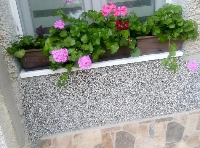 Kotva 게스트하우스