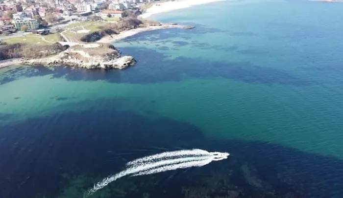 Kotva 2* 로제넷츠