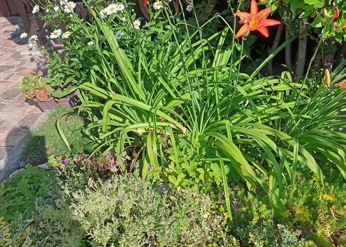 게스트하우스 Kotva 2*