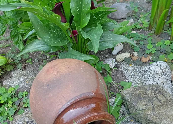 게스트하우스 Kotva 로제넷츠