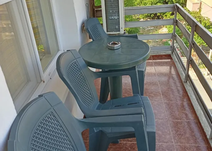 Kotva 2* 로제넷츠