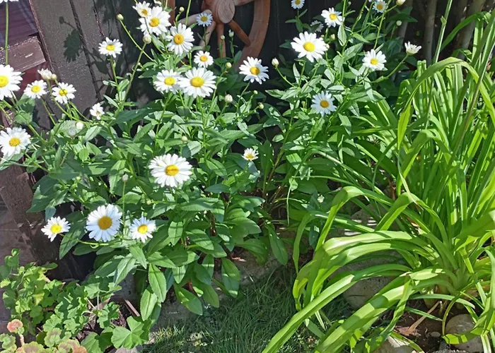 Kotva 게스트하우스