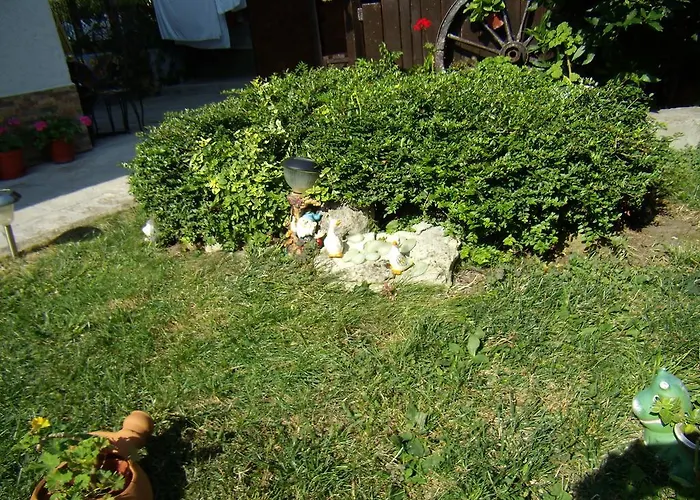 Kotva 게스트하우스