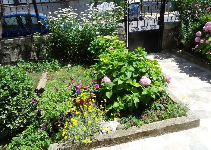 Kotva 게스트하우스 로제넷츠