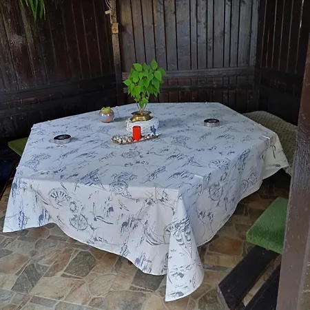 Kotva 로제넷츠