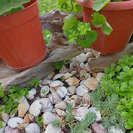 Kotva Gasthof Lozenets