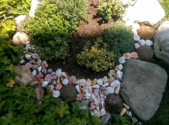 Kotva ロゼネッツ