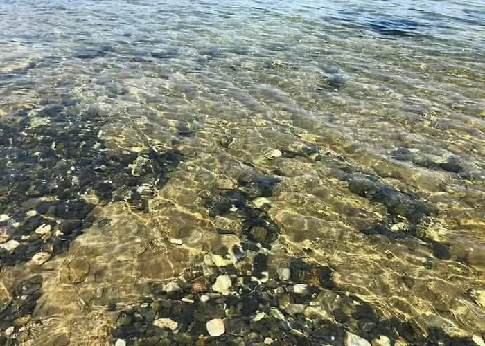 Kotva ゲストハウス