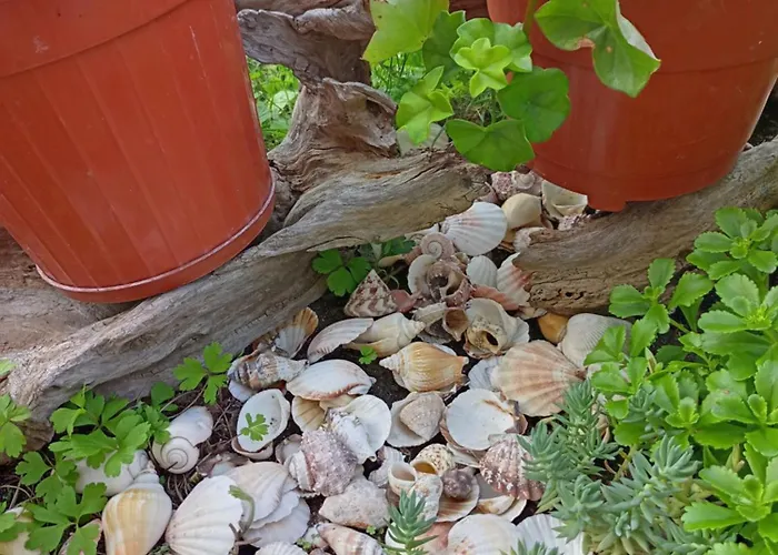 Kotva ゲストハウス ロゼネッツ