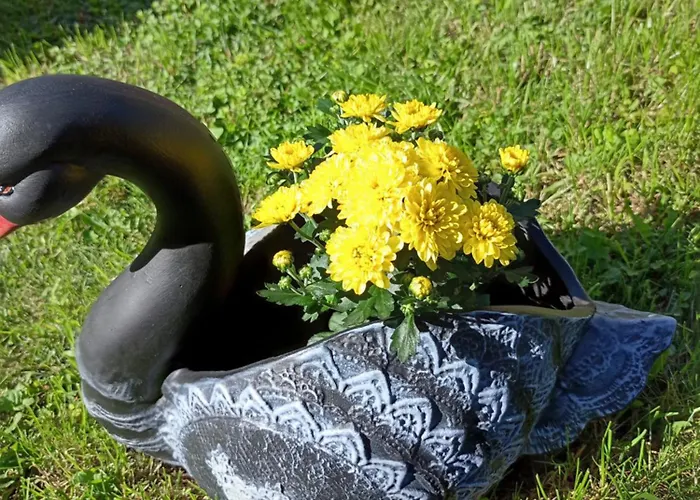 Kotva ゲストハウス 2*