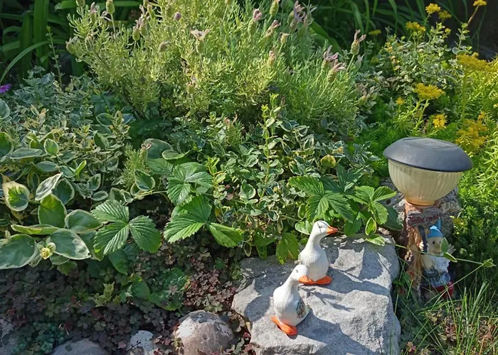 Kotva ゲストハウス 2*